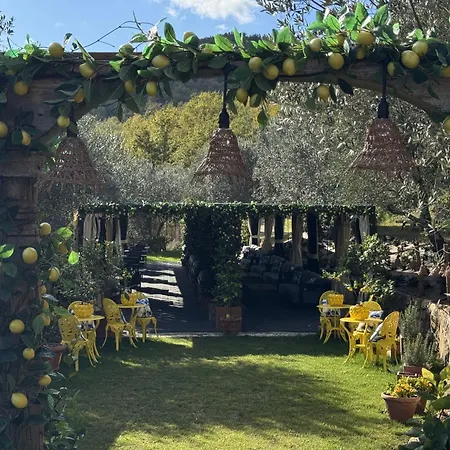 Terre Di Baccio-3